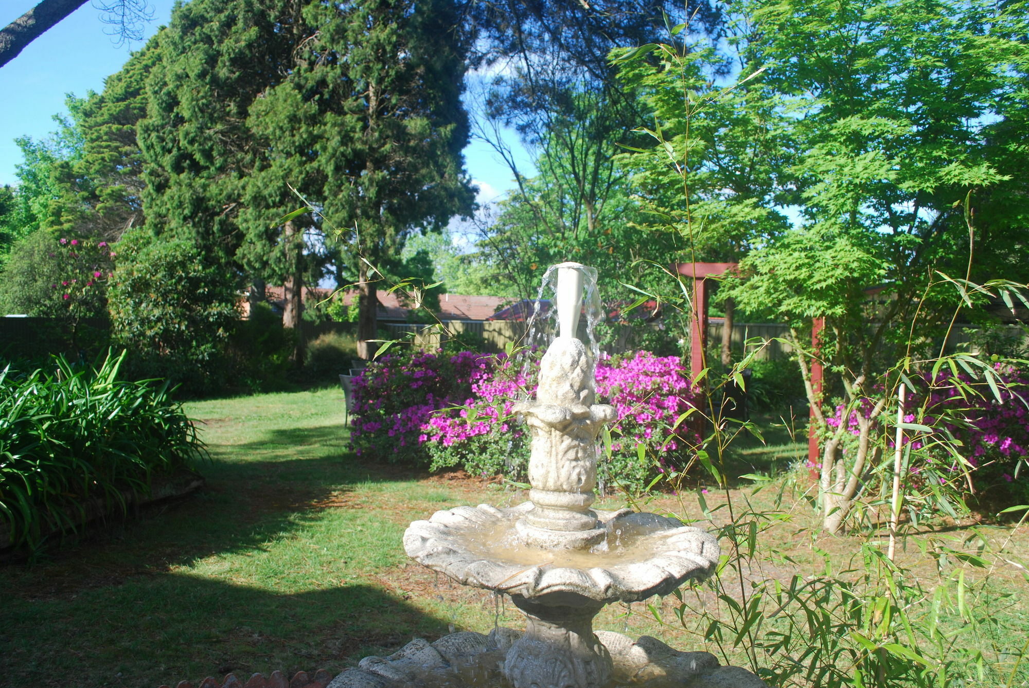 Norwood Mountain Lodge Blackheath Buitenkant foto
